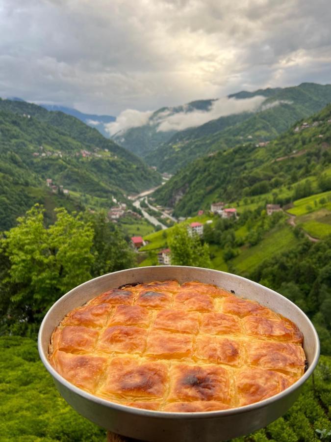 Zifona Bungalov Çamlıhemşin Buitenkant foto